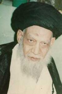 السيد محمدحسن الرضوي (قدس سره)