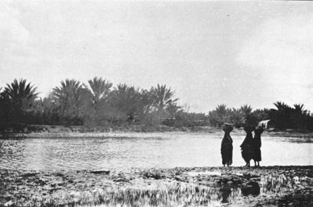 النجف المشخاب 1918
