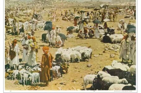 صور نادرة عن الحج نشرت في مجلة ناشيونال جويغرافيك 1953 وهنا الصورة تمثل سوق الاضاحي