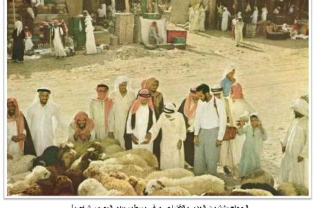 صور نادرة عن الحج نشرت في مجلة ناشيونال جويغرافيك 1953 الحجاج يشترون الهدي والاضاحي