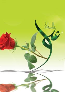 مولد عليّ (ع) من حديث الإمام أبي عبدالله الصادق