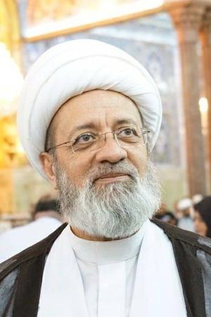 الشيخ مصطفى مصري العاملي ( حفظه الله )