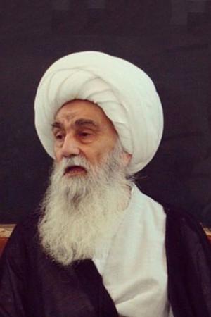 الشيخ شمس الدين الواعظي (دام ظله)