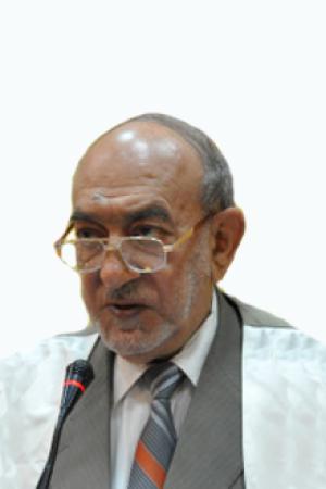 الدكتور محمدحسين الصغير ( حفظه الله )